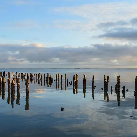 5 Bedroom Pet Friendly In *