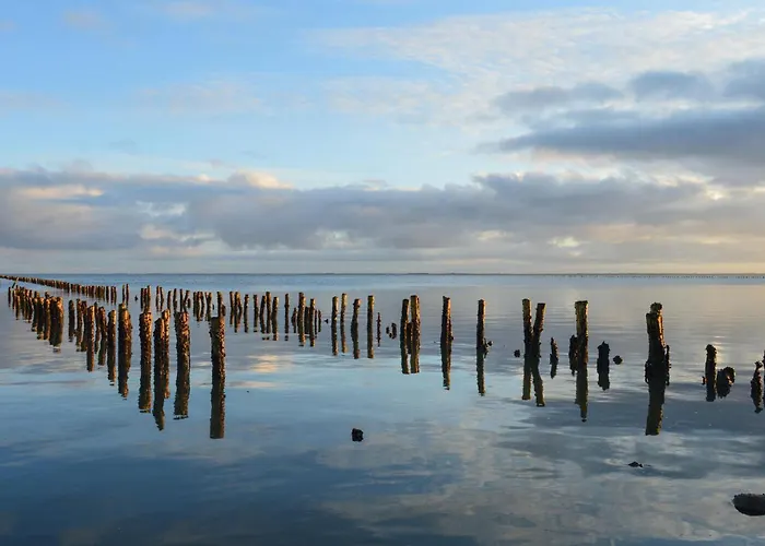 5 Bedroom Pet Friendly In *